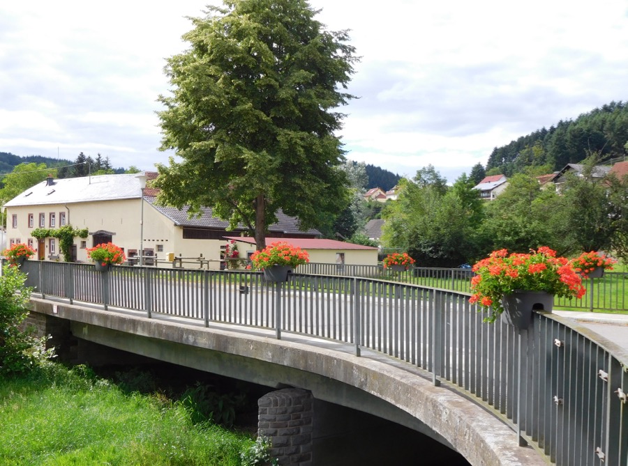 DSCN0665